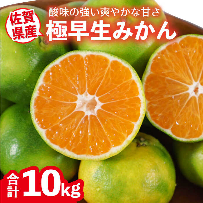 【ふるさと納税】【10月以降順次発送】佐賀県産 極早生みかん 10kg [FBT042]