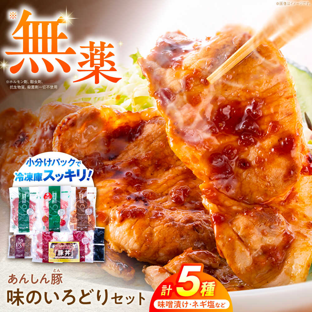 【ふるさと納税】あんしん豚 味のいろどりセット 豚肉 小分け 味噌漬け 国産 白川町 / 藤井ファーム[AWAF002] 小分けパック 味付き肉 せっと 安心豚 薄切り おいしい 美味しい 冷凍 リピート 味付き 簡単 調理 料理 通販 国産豚肉