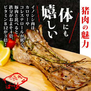 ジビエ スペアリブ 計約700g 冷凍 猪肉 天然 小分け 350g✕2 イノシシ肉 いのしし肉 焼肉 BBQ 肉 バーベキュー アウトドア キャンプ 伊勢志摩 伊勢 志摩 三重県 10000円 一万