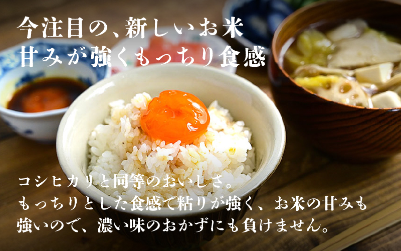 ＜2025年11月以降 順次発送予定＞【ANA限定！200袋限定販売！！】令和7年産　にじのきらめき　通常便（1回配送）計10kg（5kg×2袋） 通常便（1回配送）計10kg（5kg×2袋）