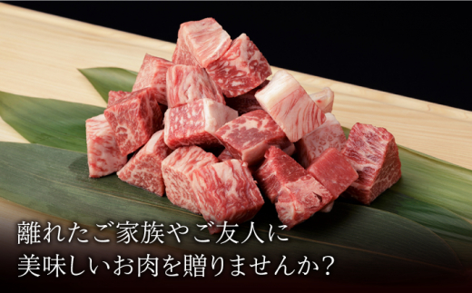 【6回定期便】 佐賀和牛 コロコロ 切落し 600g (300g×2P) 【一ノ瀬畜産】 [NAC108] 牛肉 佐賀県産 黒毛和牛 切り落とし きりおとし 定期便
