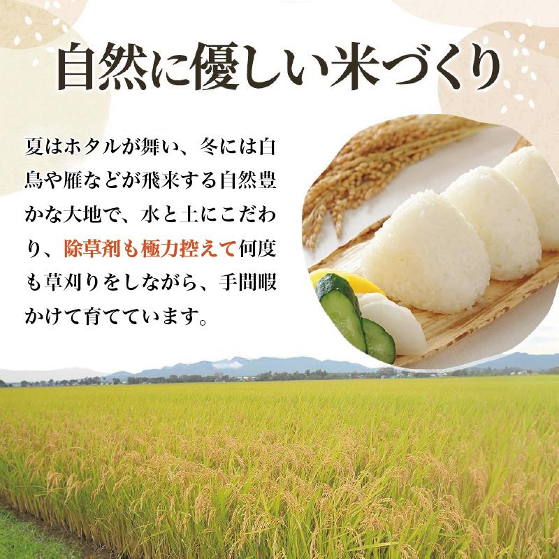 【先行予約】令和6年 新米 新潟上越産コシヒカリ 定期便 【6ヶ月連続お届け】5kg×6回 30kg  新潟 米 新潟県 こしひかり 限定 おすすめ