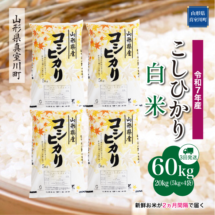 ＜令和7年産米＞ こしひかり 【白米】60kg定期便(20kg×3回)　配送時期指定できます！ 山形県真室川町