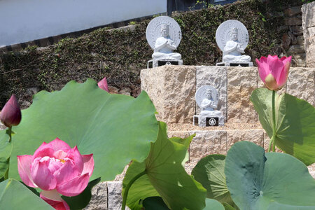 永代供養 (個人墓) | 永代供養墓 掃除 供養 墓じまい サービス 代行 お墓 奈良県 五條市