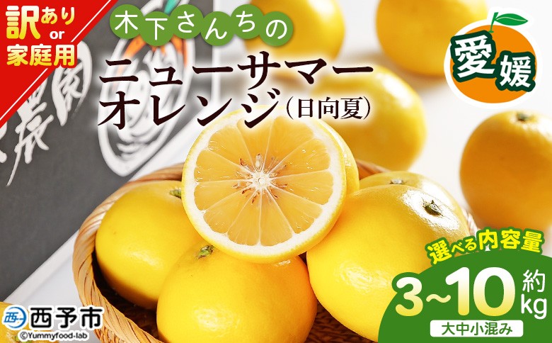 
                  ＜木下さんちのニューサマーオレンジ 訳あり 約3kg/5kg/10kg（大中小サイズ混み）＞『2027年4月上旬～5月中旬迄に順次出荷』 選べる 内容量 訳アリ 家庭用 自宅用 柑橘 日向夏 蜜柑 果物 くだもの フルーツ 国産 特産品 木下農園 愛媛県 西予市【常温】
                