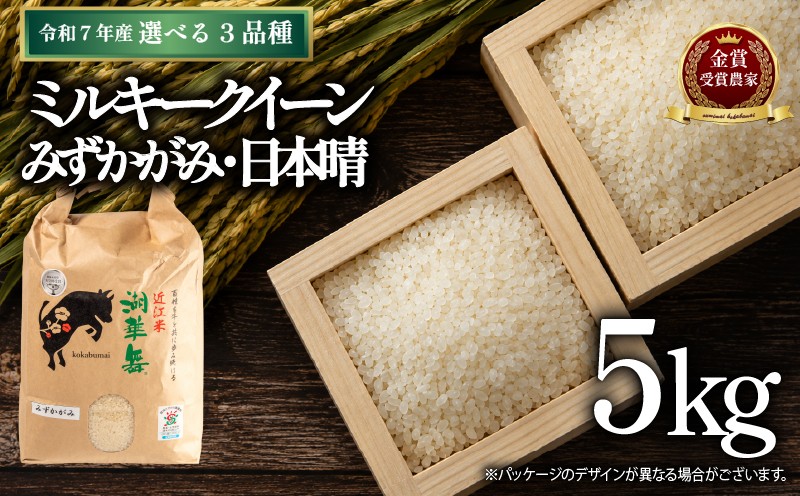 
                  令和7年産米 5kg ×1袋 数量限定 選べる お米 単発 【 コシヒカリ ミルキークイーン みずかがみ 夢ごこち 日本晴 】 滋賀県産 米 5kg 竜王 おこめ コメ 令和7年産米 精米 R7 国産 こしひかり 7年産 滋賀 お米 5kg こめ 近江米 ライス ご飯 ごはん 農家直送  精米 おこめ kome 精米 お弁当 おにぎり ご飯 数量 限定 
                