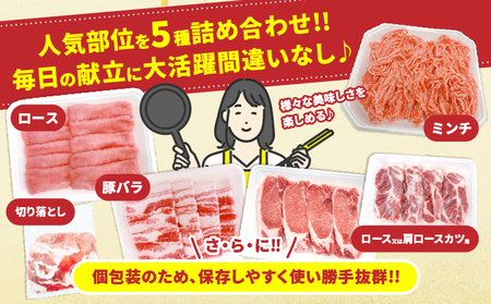 宮崎県産 豚肉 5種 セット (合計3kg) 国産 食品 豚バラ 切り落とし ロース スライス ミンチ 焼肉 BBQ しゃぶしゃぶ 生姜焼き とんかつ ソテー 豚丼 ハンバーグ 個包装 小分け おすす