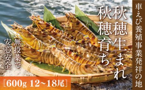 D036 旭水産活き車海老（あいおえび）600g（12～20尾）【養殖】