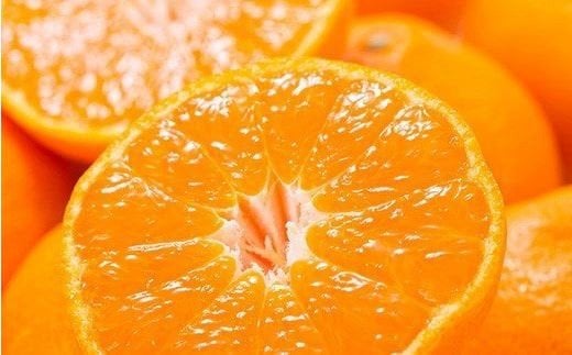 
                  【予約受付】ブランド有田みかん　秀品約2.8kg/サイズお任せ　※2026年10月中旬～2027年1月中旬頃に順次発送予定（お届け日指定不可）　紀伊国屋文左衛門本舗【kztb144】
                