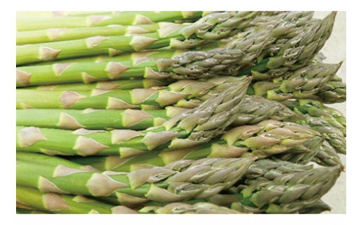 【道の駅ニセコビュープラザ直売所厳選定期便】北海道ニセコ町産農産物頒布（年間4回発送）＜2026年予約＞