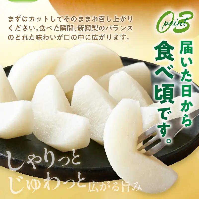 【先行予約／数量限定50】梨 新興梨 秀品 5kg（8～16玉入り）｜2026年10月下旬から順次発送