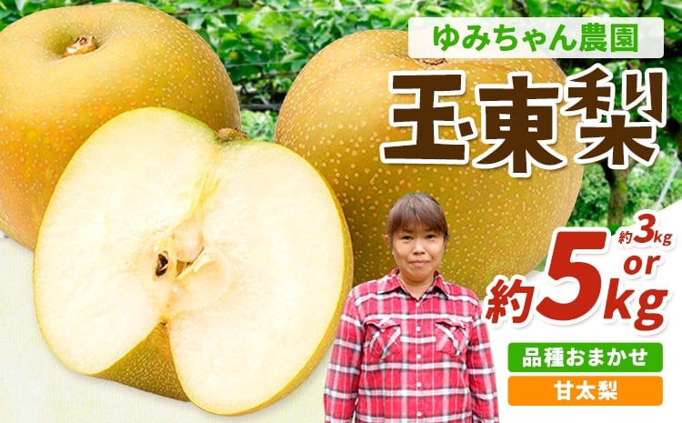 
                  『ゆみちゃん農園』の玉東梨 甘太梨 選べる  約3kg 3〜10玉前後 約5kg 7～16玉前後《2026年8月下旬-10月上旬頃出荷》熊本県玉名郡玉東町 梨 なし 果物 フルーツ 旬の梨
                