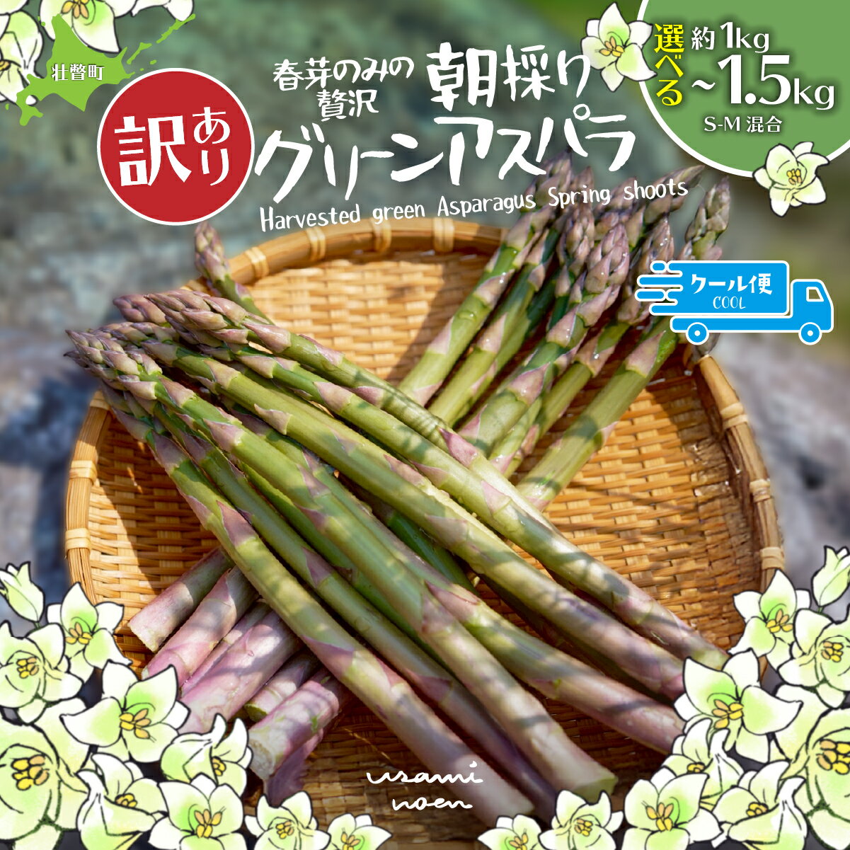 【ふるさと納税】【訳あり】北海道産 朝採り グリーンアスパラガス 春芽 甘い 選べる容量 1kg / 1.5kg 2026年先行予約 家庭用 不揃い 産地直送 アスパラ