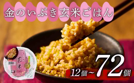 玄米ごはんパック 160g 48個 玄米 米 ごはん ご飯 こめ パックライス パックご飯 パックごはん ご飯パック ごはんパック パック ライス 備蓄 保存 非常 防災 電子 レンジ 温めるだけ レンチン 簡単 健康 ダイエット 美容 ヘルシー レトルト インスタント おいしい 人気 おすすめ 48 48食 おくさま印 金のいぶき 人気の玄米ご飯パック 美味しい玄米ご飯パック 大阪 松原