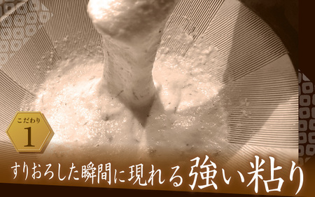 先行予約 福井県坂井市産 自然薯 1kg (2～3本) 2026年12月中旬以降順次発送予定 野菜 健康 山芋 とろろ [A-22202]