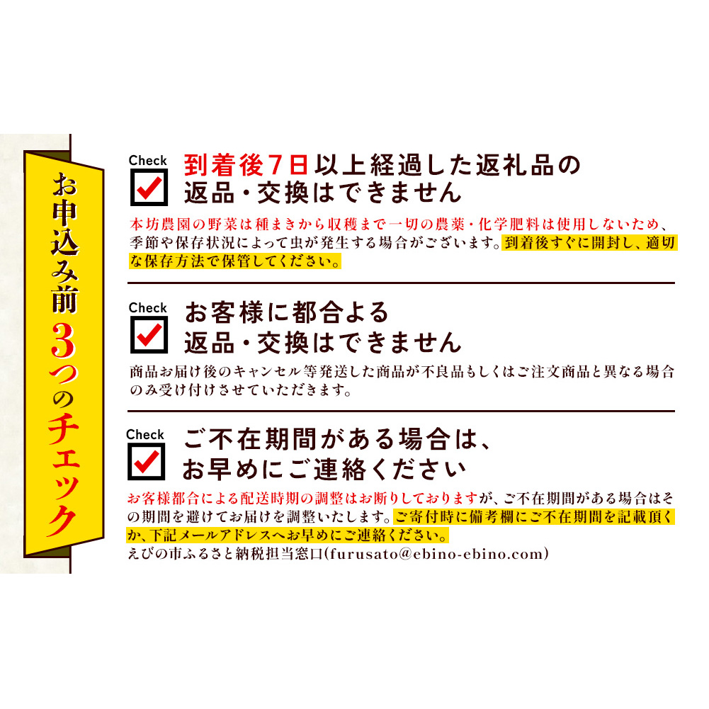 【3回定期便】特別栽培季節のお野菜セット 8品 野菜 新鮮 やさい 旬 詰合せ 国産 宮崎県 九州 送料無料_イメージ4