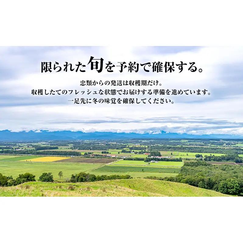 2026年12月発送 先行予約 十勝「忠類長いも」10kg (10～16本) L～2L［JA忠類］【 長芋 ながいも 山芋 芋 とろろ 野菜 根菜 産地直送 贈答 ギフト北海道 幕別 】