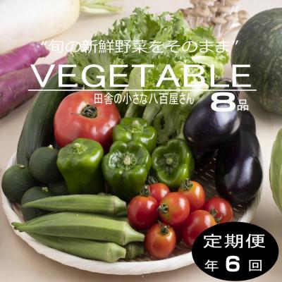 ふるさと納税 印南町 【発送月固定定期便】旬の新鮮野菜セット8種以上 奇数月発送【野菜詰め合わせ】全6回