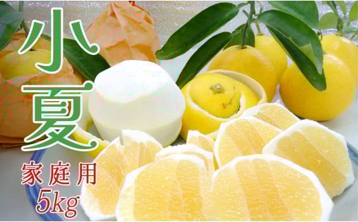 【高知県 大月町産】コーラルフルーツ農場の家庭用 小夏（5kg）