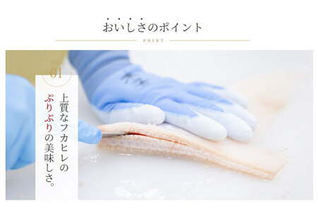 濃縮ふかひれスープ 200g×6袋 セット 箱入り 