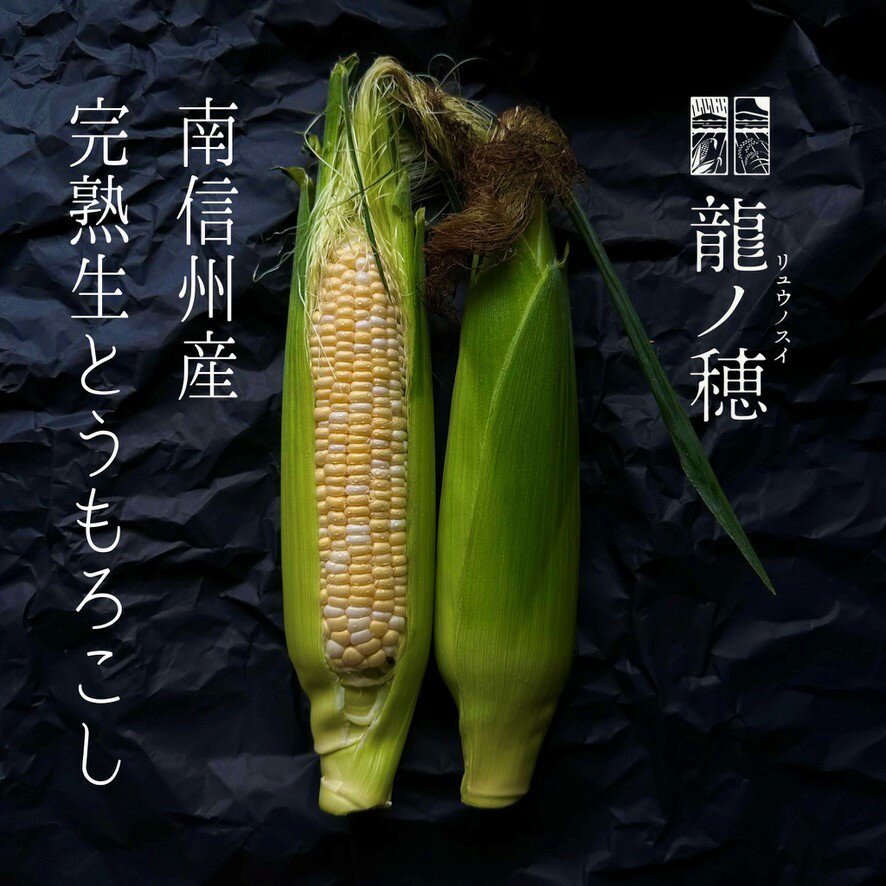 【ふるさと納税】【2025年分先行受付】南信州産 完熟生とうもろこし | とうもろこし トウモロコシ 野菜 ジューシー 農家直送 栄養 健康 生食 茹で 焼き おやつ おつまみ 長野県 飯田市 信州