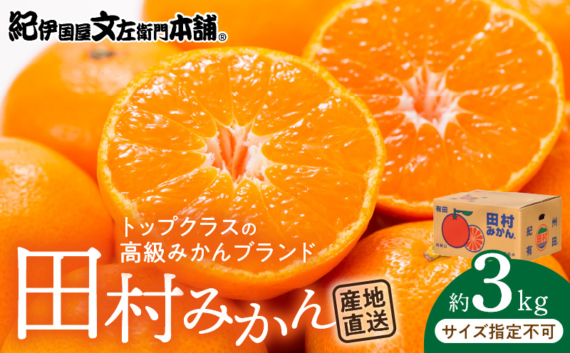 V7454_【2026年先行予約】田村みかん／特選ギフト品3kg【サイズ指定なし】