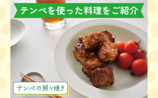 【3回定期便】長崎 てんぺ 150g×8個 / 国産大豆100％ インドネシア テンペ【大屋食品工業】 [OAB007]