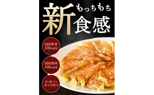 M86-0002_生パスタ生地で包んだ正統派の餃子「ラビオリ餃子」15個入り×2ケース【冷凍】