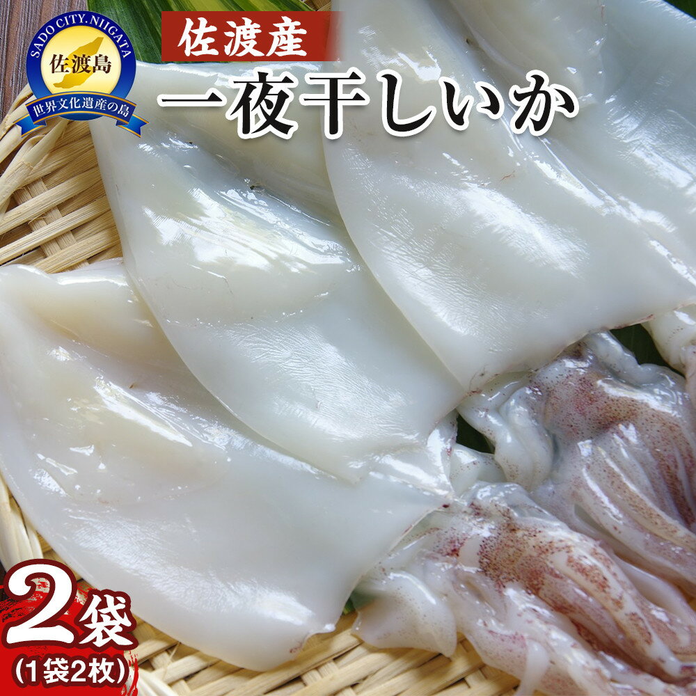【ふるさと納税】干物 イカ 佐渡産 4枚 ( 1袋2枚 × 2 ) 一夜干しいか | 魚 お魚 さかな 食品 人気 おすすめ 送料無料