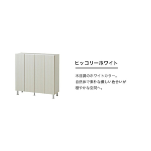 シューズボックス 【リアル 100 LO】 ヒッコリーホワイト_シューズボックス リアル 100 LO 大川家具 ヒッコリーホワイト 靴箱 靴 収納 可動棚 お洒落 国内製造 お取り寄せ 福岡県 久留