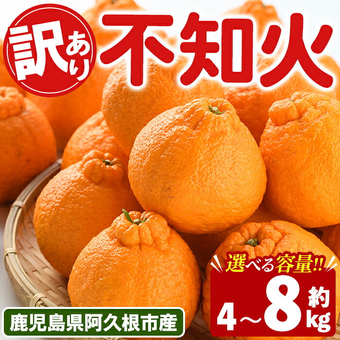 【ふるさと納税】＜先行予約受付中！2027年3月上旬以降順次発送予定＞ ＜内容量が選べる！＞ 訳あり！露地栽培の不知火(約4～8kg) 国産 不知火 しらぬい 柑橘 果物 フルーツ デザート 露地 果実 期間限定 数量限定【古田果樹園】