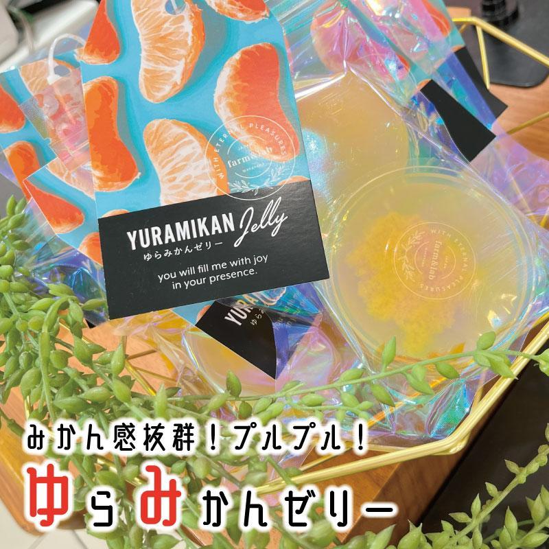 【ふるさと納税】旬の2個入りゼリー04袋 みかんの美味しさぎゅっと詰めました | みかん 和歌山県 高野町 ふるさと 納税 スイーツ 楽天ふるさと 支援 支援品 返礼品 名産 まるごと 果実 ミカン 蜜柑 ゼリー みかんゼリー お取り寄せ ギフト