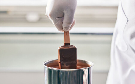 ハーゲンダッツバー バニラチョコレートマカデミア 20本セット ハーゲンダッツ バニラ チョコレート バニラチョコレート マカデミア セット アイス アイスクリーム ギフト 愛媛県 【えひめの町（超）