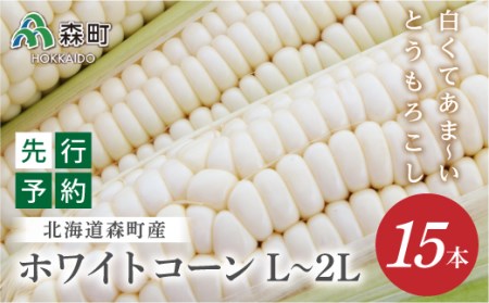 【先行予約】15本 白い とうもろこし ホワイトコーン L～2L（2024年7月下旬～9月中旬までに順次発送）北海道産 森町産 トウモロコシ とうきび 野菜 やさい 甘い 朝もぎ mr1-0144