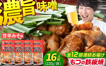 【12回定期便】「元祖みたけとんちゃん」甘辛みそ味 8袋（16人前）[AVAA075]ホルモンモツ