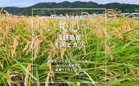 令和７年度産 新米 淡路島産「橙心(きぬひかり)」　玄米2kg　◆配送9月下旬～