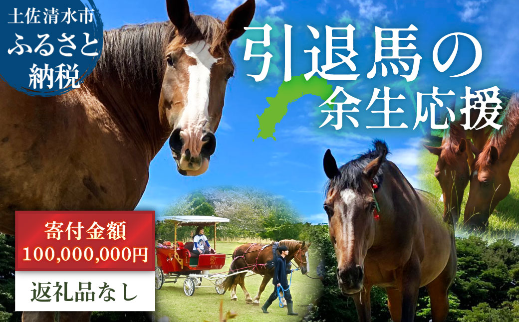 引退馬 余生支援 100,000,000円コース 返礼品なし 養老馬 競走馬 引退競走馬 馬支援 競馬 馬 うま ウマ 馬支援 動物 あしずりダディー牧場 高知県 土佐清水市【R01535】