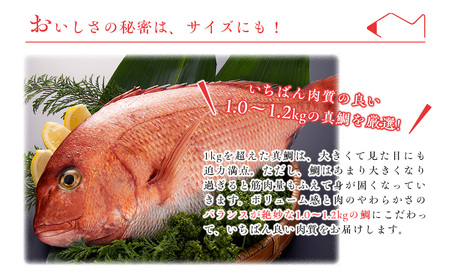 （冷蔵）【２尾】ジュワっと旨み溢れるブランド真鯛 スキンレス 皮あり ／ はさま あなたに逢い鯛。 鯛 真鯛 刺身 しゃぶしゃぶ 鯛めし 三重県 南伊勢町 伊勢志摩