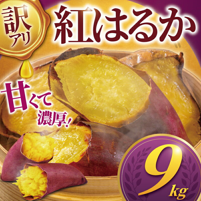 【ふるさと納税】 訳あり 紅はるか 9kg 11月以降発送 さつまいも 訳アリ 訳有 サツマイモ 薩摩芋 さつま芋 デザート べにはるか スイーツ 甘芋 スイートポテト sweet potato 蜜 蜜芋 芋 イモ 旬 秋野菜 秋の味覚 おやつ 先行予約 産地直送 農家直送 八〇八 神奈川 湘南 藤沢