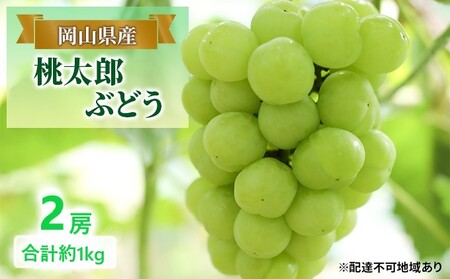 ぶどう 【2026年 早期受付】 桃太郎ぶどう 2房 合計約1kg  岡山県産