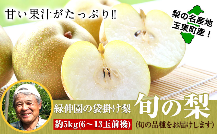 『緑伸園』の旬の梨 約5kg《8月中旬-9月下旬頃出荷》 旬の品種をお届け 予約受付中  6-13玉前後入り 【ふるさと納税】 梨 フルーツ  旬 豊水 あきづき 新高