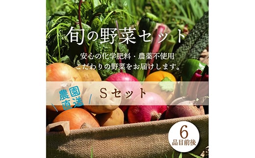 都内マルシェで人気のお野菜！ 《先行予約》春夏 旬の野菜セットSサイズ(6品前後)  野菜 セット 詰め合わせ 詰合せ 食品 F21R-213