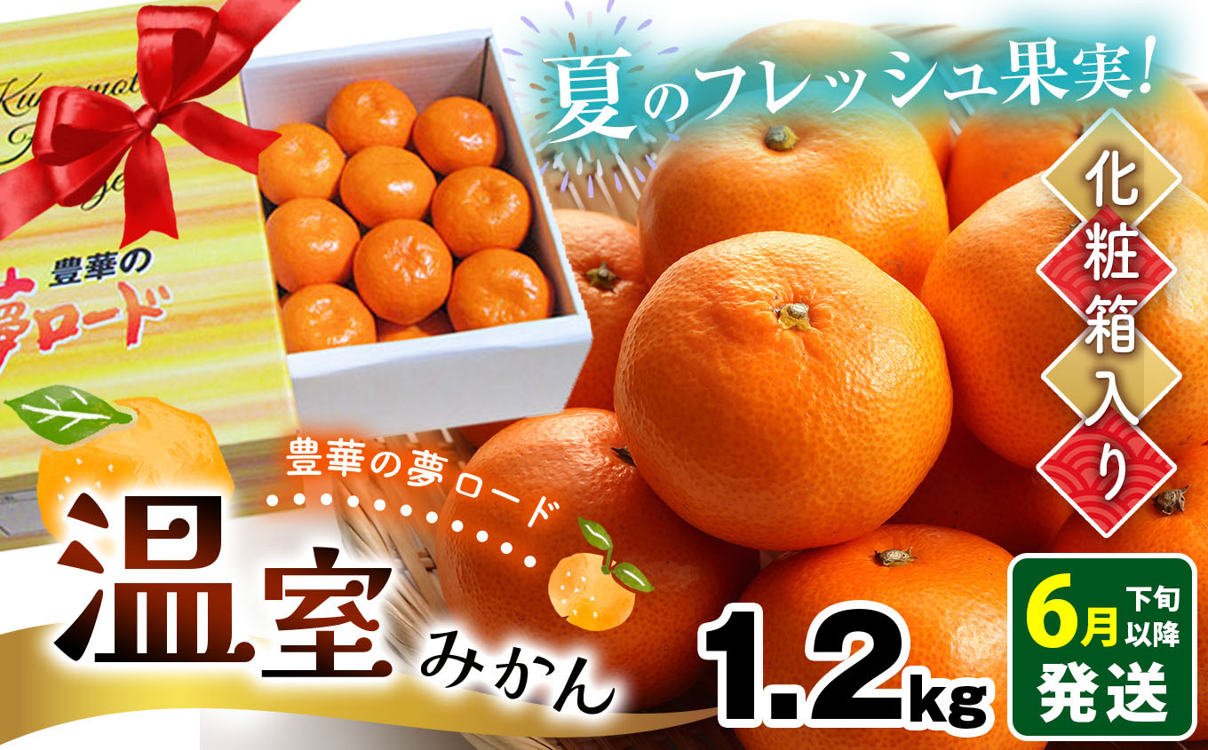 
            温室みかん 『豊華の夢ロード』 約1.2kg 化粧箱入り | 果物 くだもの 柑橘 みかん ミカン フルーツ 熊本県 玉名市
          
