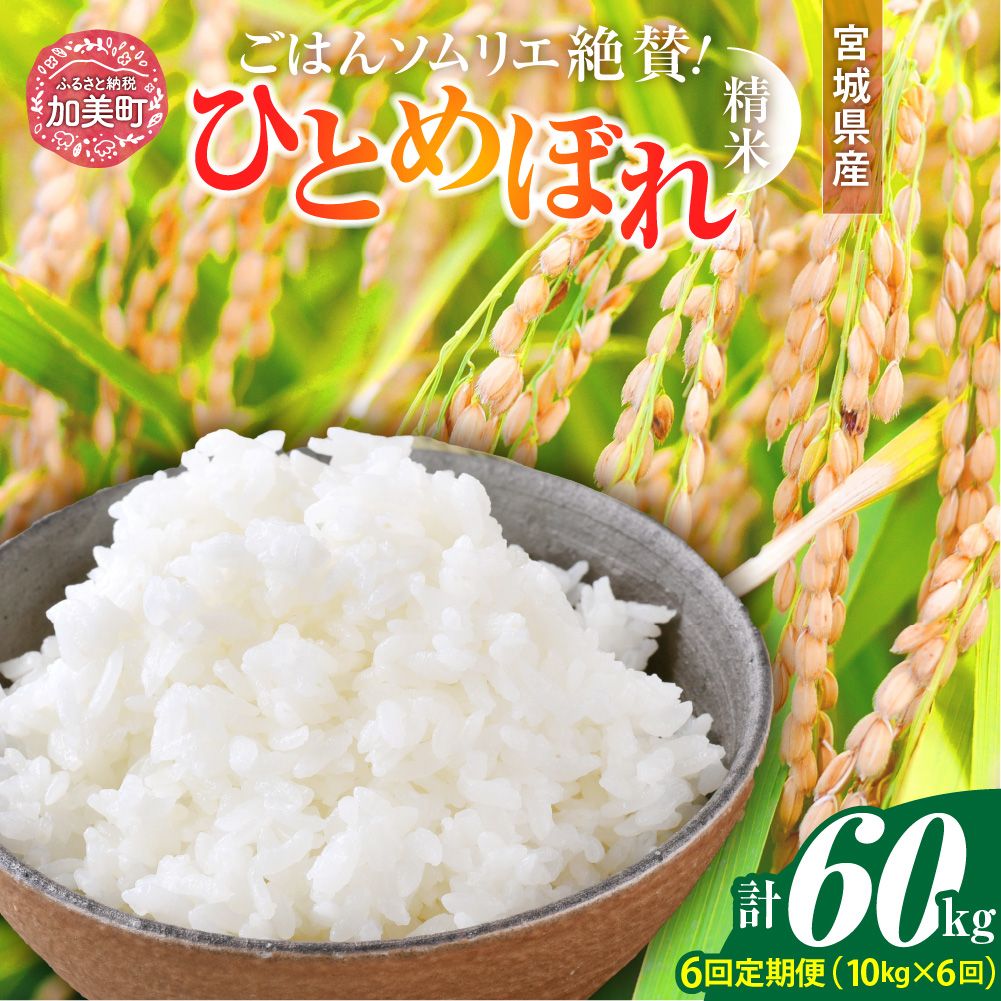 【6回定期便】 精米 令和7年産 宮城県産ひとめぼれ 計60kg (10kg×6回) [菅原商店 宮城県 加美町 ]   |sg-hb10-t6-r7
