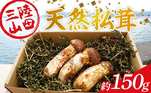 ≪2026年先行予約 10月上旬から順次発送予定！≫ 国産松茸  天然松茸 約150g【配送日指定不可】【沖縄・離島配送不可】 岩手 三陸  三陸産 山田産 山田町 野菜 きのこ 大福丸