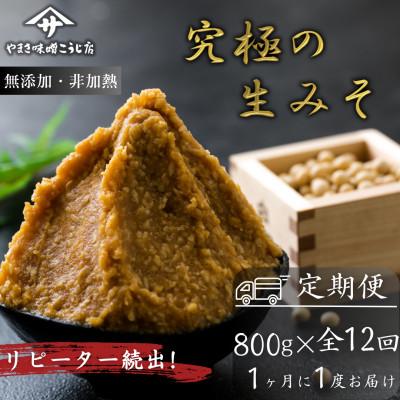 ふるさと納税 矢吹町 【毎月定期便】蔵出し直送、究極の生みそ 800g全12回