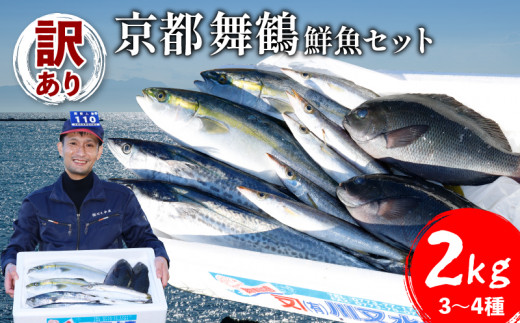 訳あり 京都舞鶴 鮮魚 詰め合わせセット 3～4種 約2kg 2キロ 旬の魚 季節の魚 旬 セット 詰め合わせ おまかせ 厳選 朝獲れ 鮮度抜群 新鮮 冷蔵 まるごと 丸ごと お刺身 刺身 煮付け あじ サバ ススキ つばす 鯵 鯖 鰯 サゴシ グレ 鯛 カマス 赤カレイ いわし レンコダイ トビウオ 京都 舞鶴