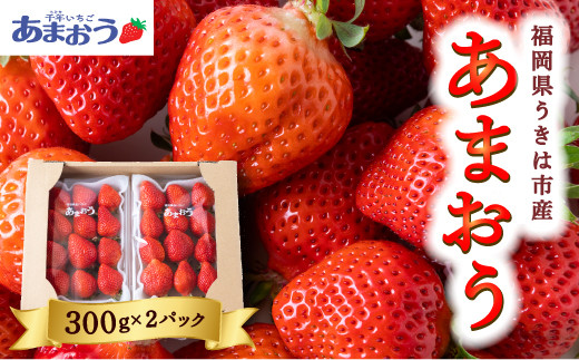 千年いちご あまおうイチゴ (300g×2パック) 2025年2月1日から2月28日 出荷予定 