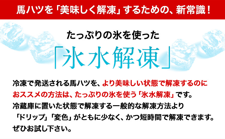 馬ハツ刺し ブロック 50g×6ブロック《1月中旬-3月末頃出荷》 馬ハツ(心臓) 冷凍 生食用 たれ付き(10ml×3袋) ---hkw_fkghatsu_bc13_25_12000_300g---