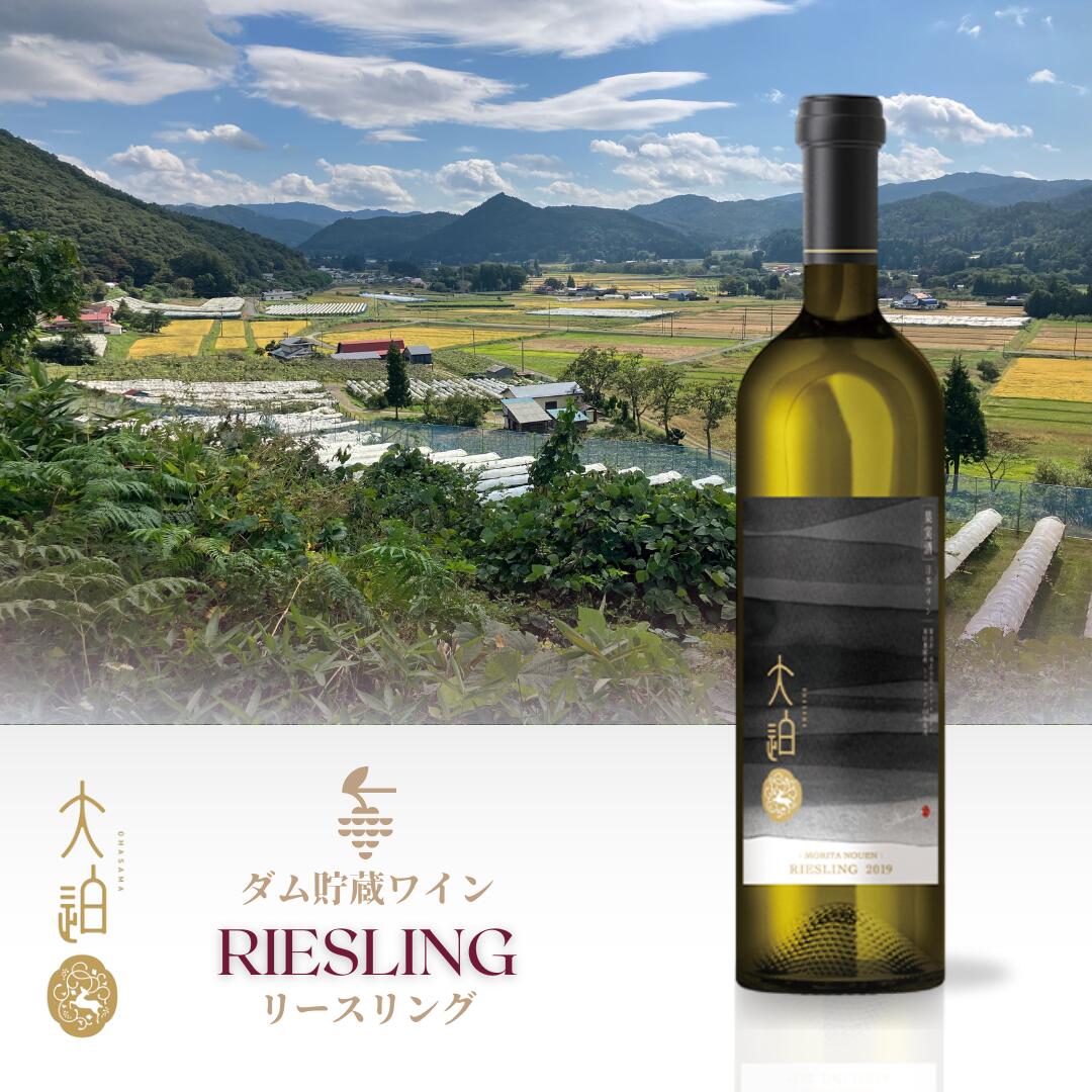 【ふるさと納税】 「早池峰の恵み」モリタワイン リースリング2023 新酒 ワイン大迫 白ワイン 750ml 花巻市 岩手県